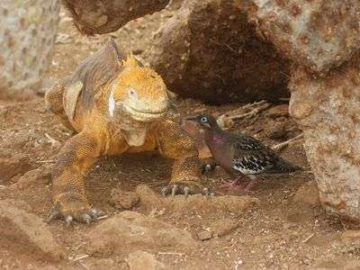 美女と老人の会話