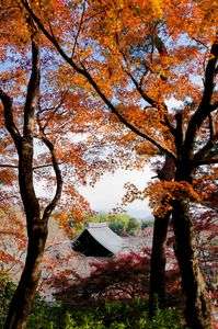 天龍寺 〜百花苑