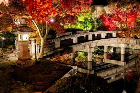 もみじの永観堂