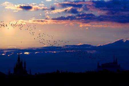 ～旅立ち～入選作品です