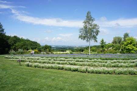 初秋の十勝平野