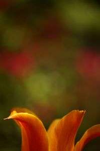 光を受け止めて