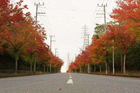 グラデーション