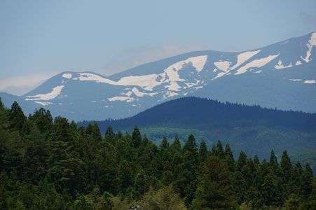 解かりやすいようにアップにしました。