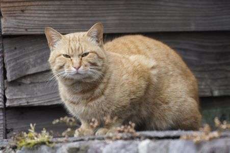 ん～？なんですか～？