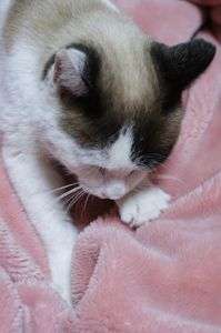 よいしょ・・・