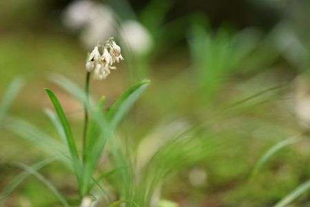 2018/07/14 竹久夢二伊香保記念館