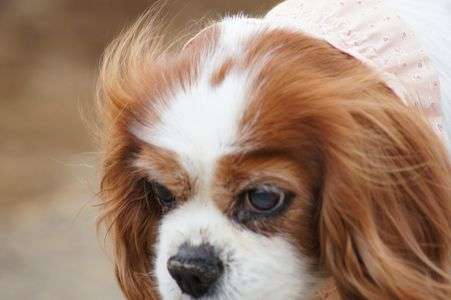 たくさんの幸せ・・ありがとう・・