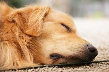 キャンプ場にて