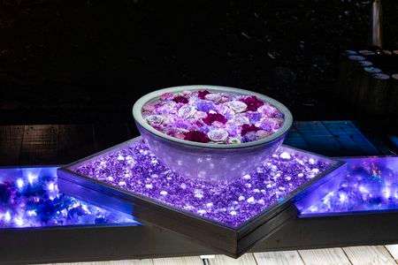 花手水　あしかがフラワーパーク