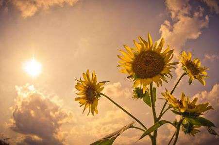 今年も暑かった