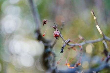 秋というか・・