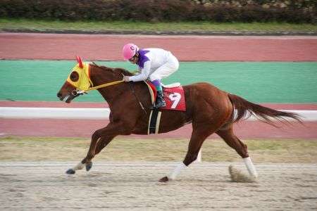 ラブミーチャン