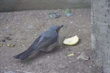 段々と慣れてきて