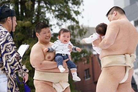 のこったのこった