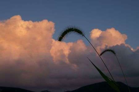 雲を釣り上げる