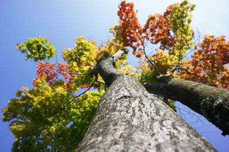 見上げた先に・・