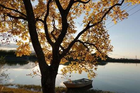 晩秋 autumn festivl2025