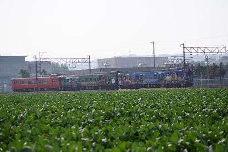 カラフルな気動車