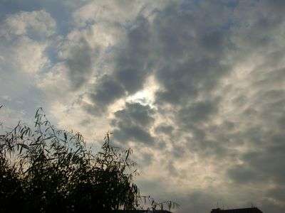雲が出ていたんですが・・・