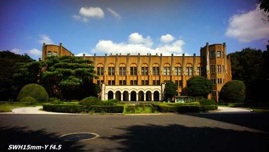 ＳＷＨ　と　Ｂiogon　の紫かぶり比較