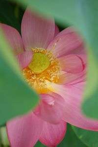 隙間からこんにちわ