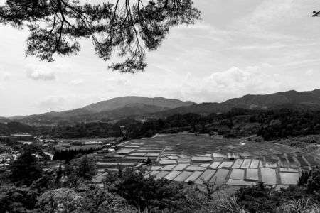 椹平の棚田