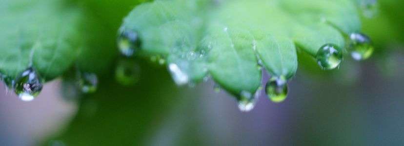 雨粒ドレミファソ