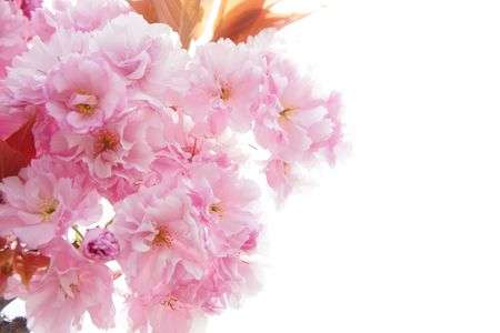 パステルの気分