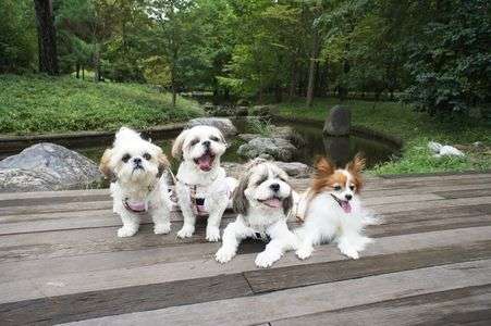 仲良くハイチーズ！