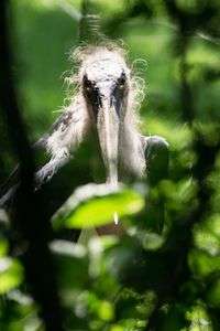 草陰からそっと