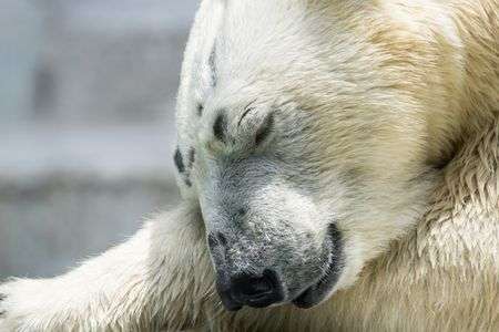 いい夢みてるかな？