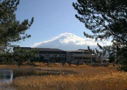 姿を現す・・・