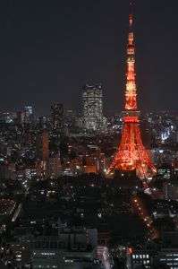 闇に沈む増上寺と紅い塔