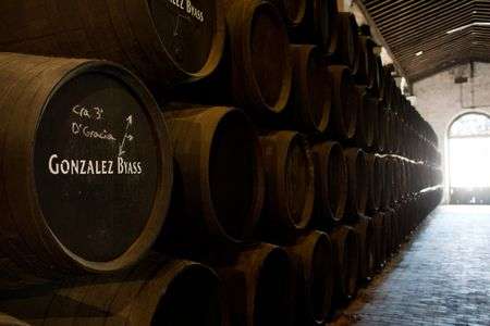 静かに、その時まで眠る