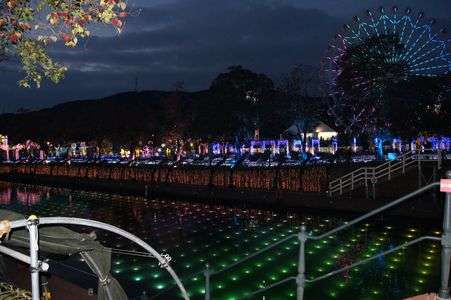 イルミネーション