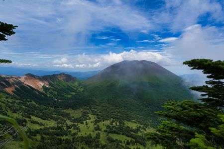 夏のショコラが見たくて