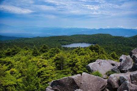避暑地の白駒池