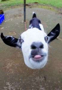 ★【接近注意】★