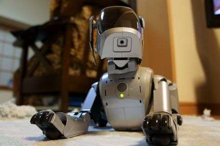 うちのペットさん