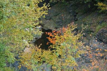 見下ろすとこんなとこにも