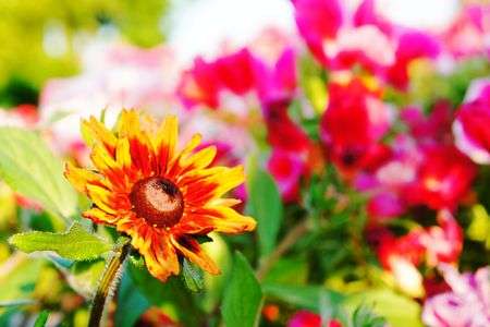 情熱を感じます