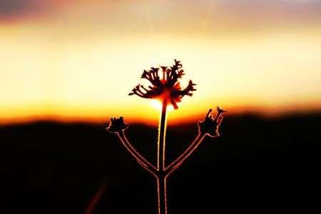 パワーアップ！