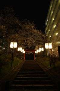 榴岡天満宮の夜桜