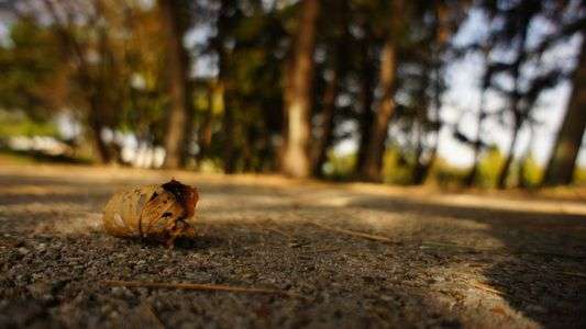 秋深待って参りました