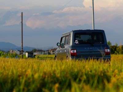 満ちてく、黄金色