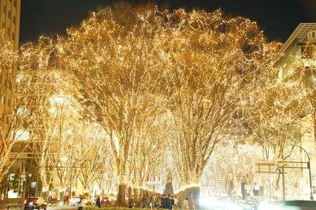 仙台 光のページェント