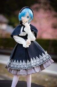 春のコーデで行く和歌山。