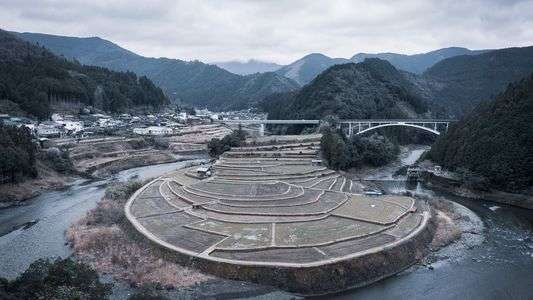 あらぎ島・・・再び