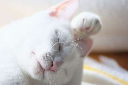 明日のお天気は？